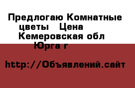 Предлогаю Комнатные цветы › Цена ­ 300 - Кемеровская обл., Юрга г.  »    
